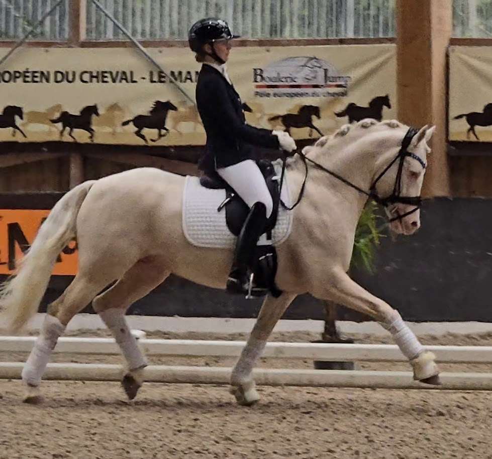 mr frosty blue jr, frankrig