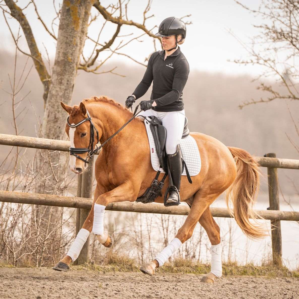 nørlunds dirty dancing 2