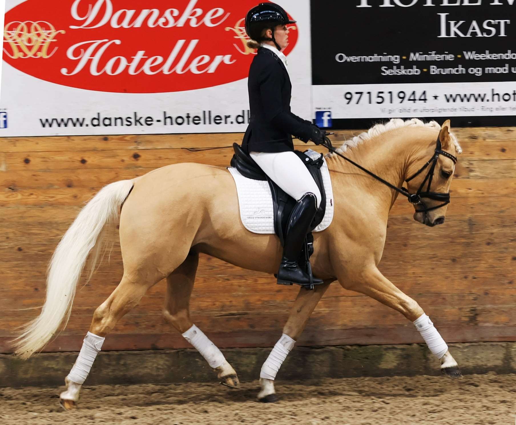 nørlunds dream date