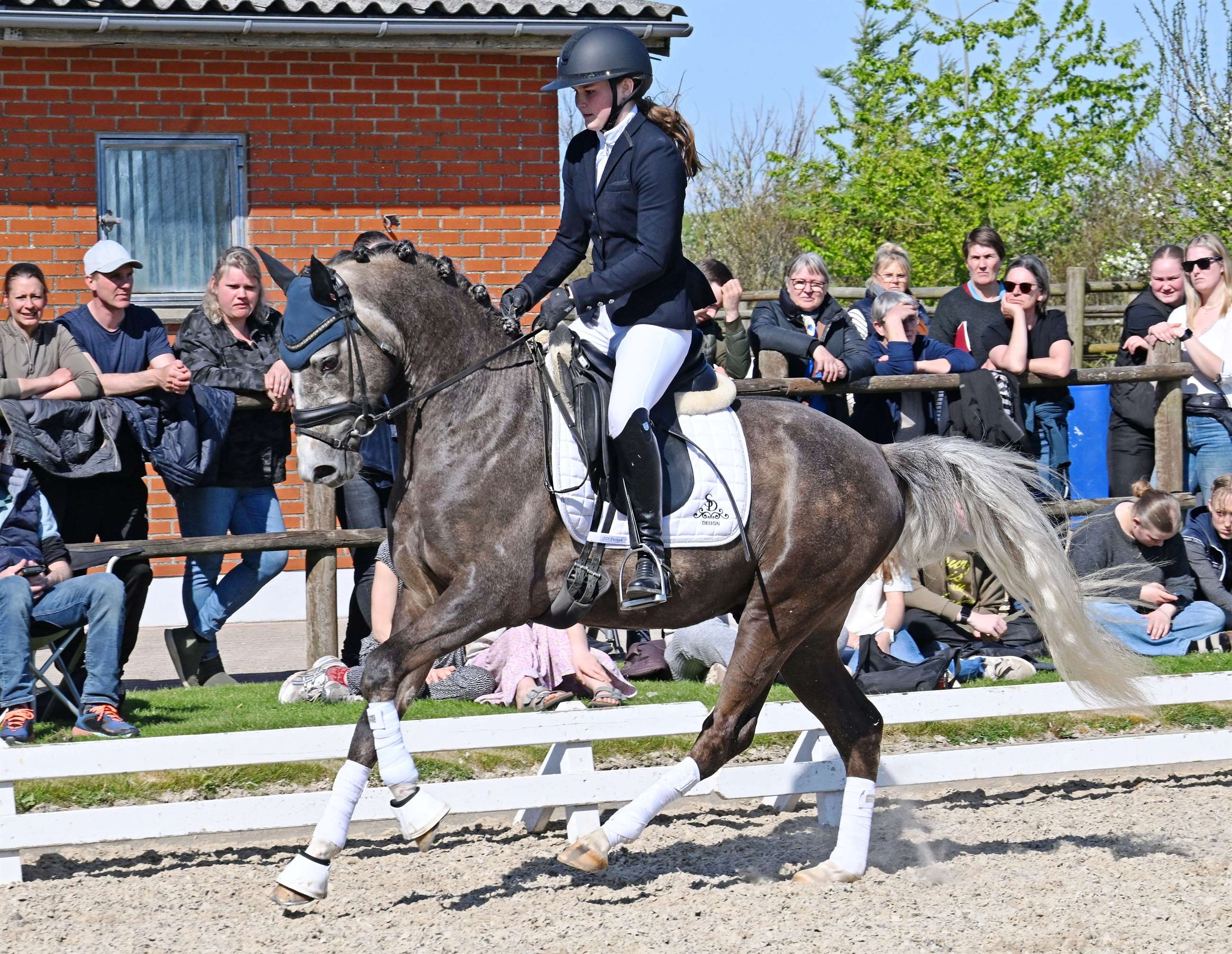 søgaards golden moon 26