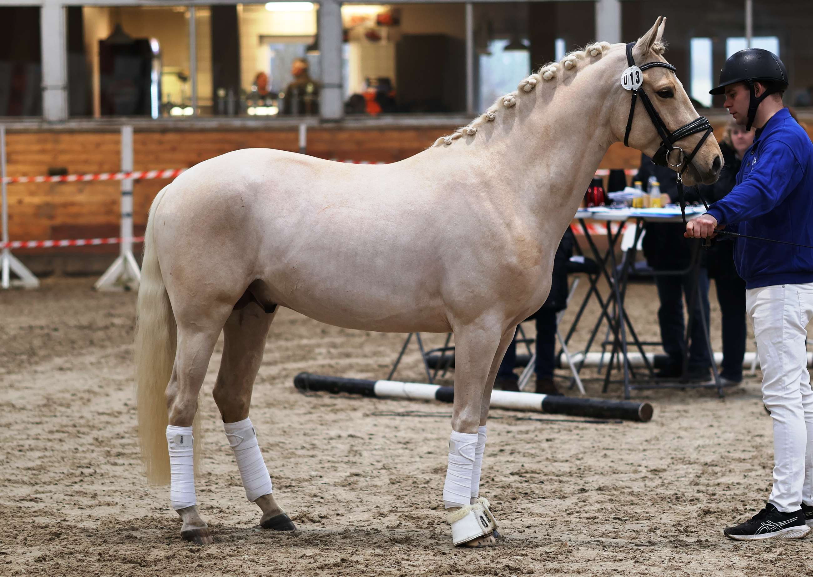 sph 306 firsclaas what a golden spot