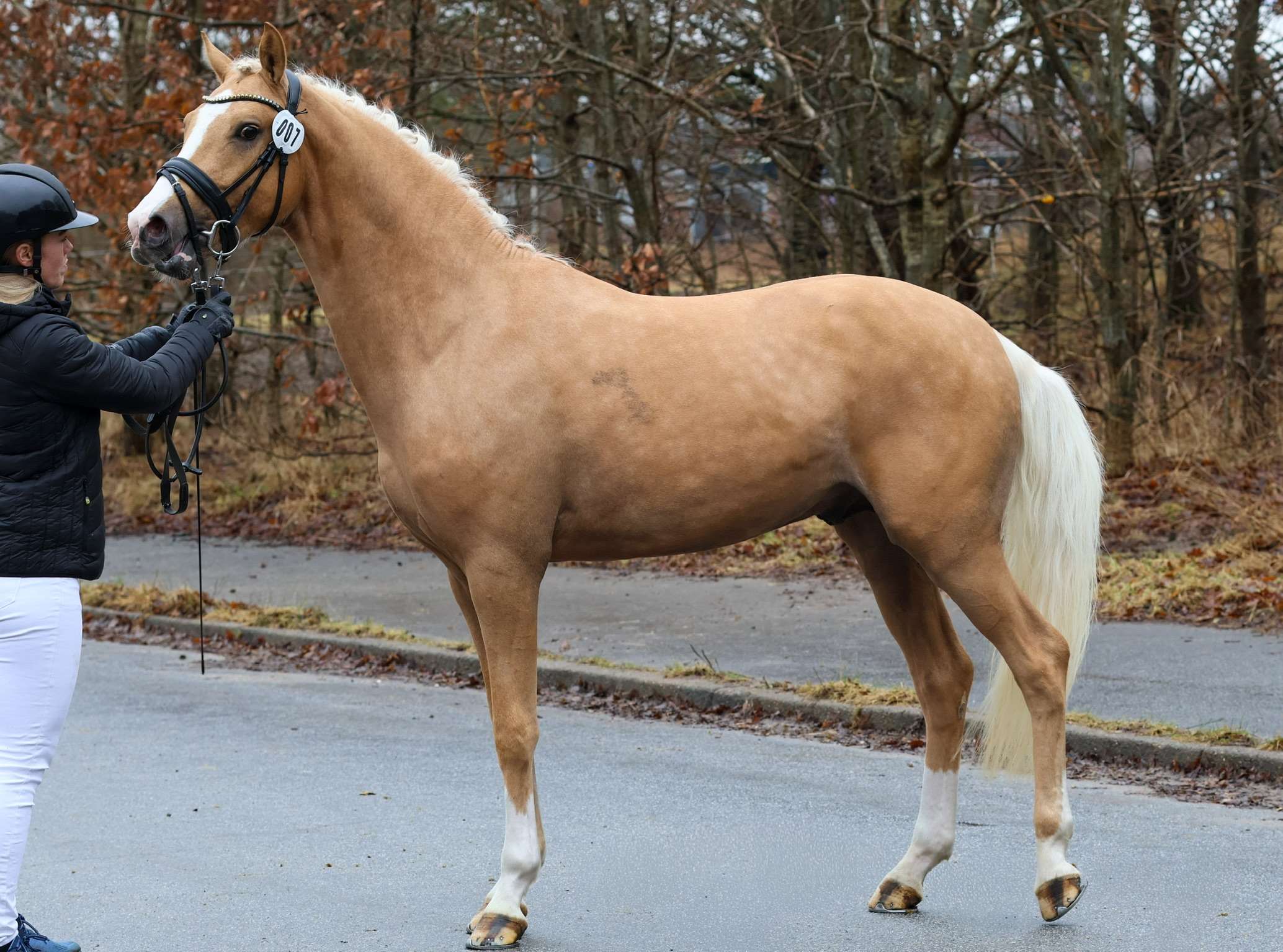 sph 310 danish gold at