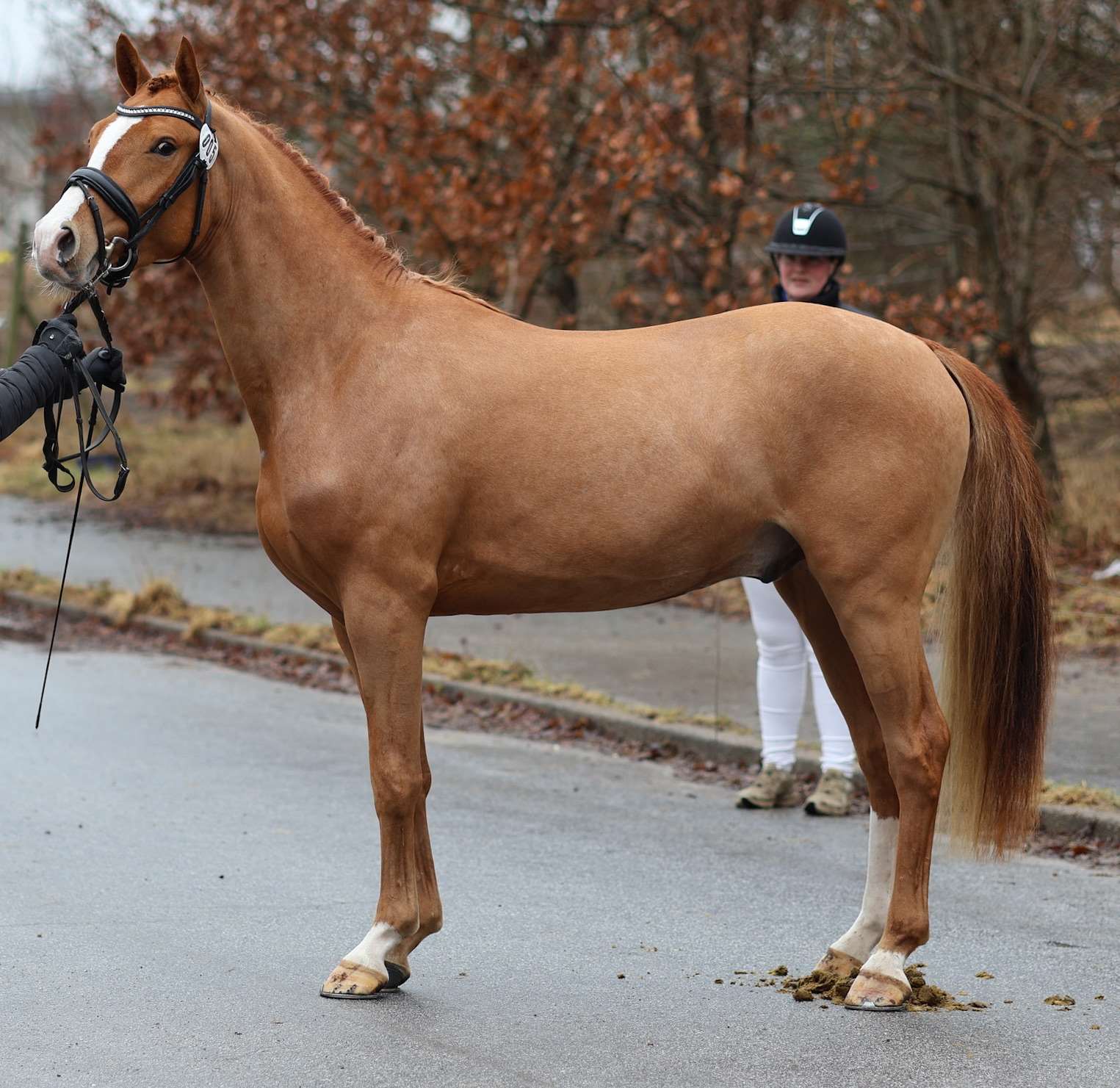 sph 314 nørlunds dirty dancing