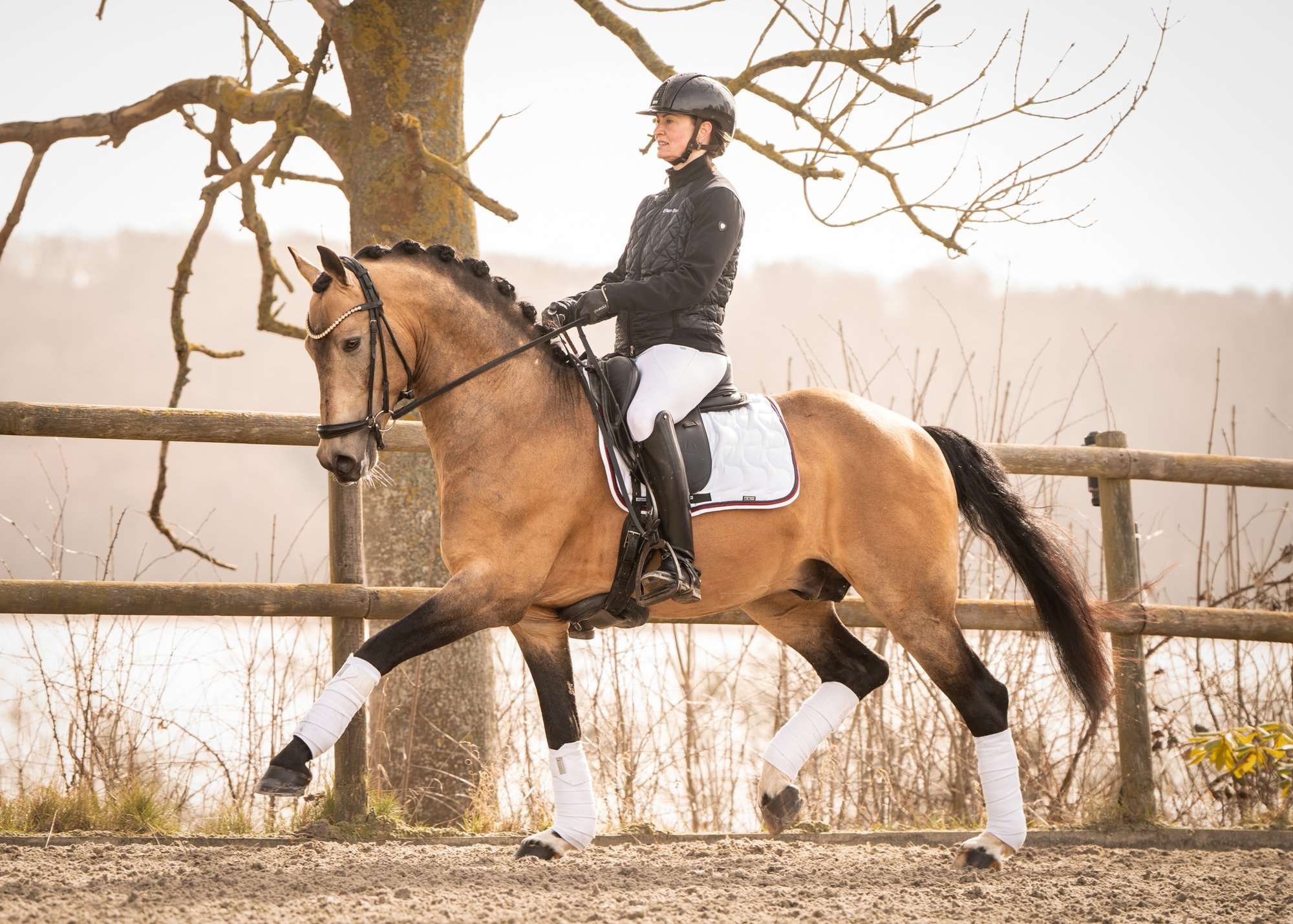 strandgaards mewtation-1