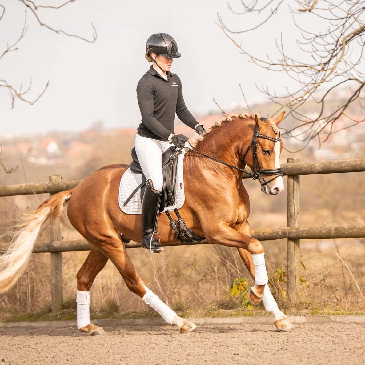 tovdal's dream the dream -1